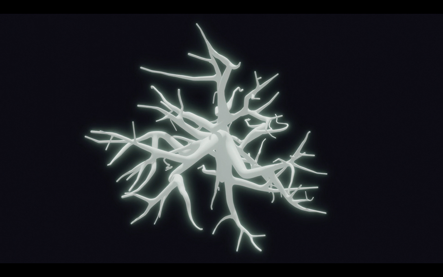 Arbre de lumière